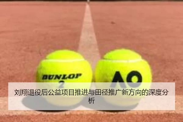 刘翔退役后公益项目推进与田径推广新方向的深度分析